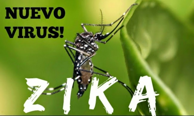 Canh-bao-Vi-rut-Zika-dac-biet-nguy-hiem-voi-phu-nu-mang-thai