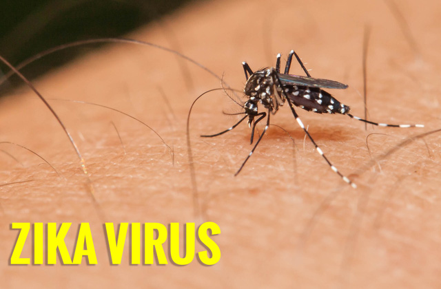 Virus-Zika-chua-thuc-su-cham-dut-tai-Viet-Nam