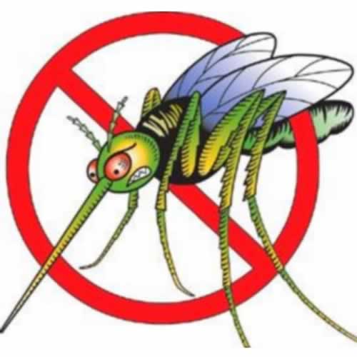 Phun thuốc: muỗi không chết người đổ bệnh