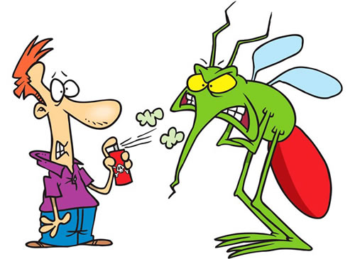 5 sai lầm thường gặp trong việc phòng tránh muỗi
